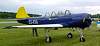 DSC01507s.jpg
