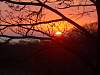 DSC00715.JPG