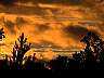 DSC00009.JPG