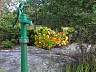 DSC00065.JPG